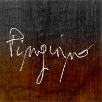 Copertina dell'album Pinguino, di Pinguino
