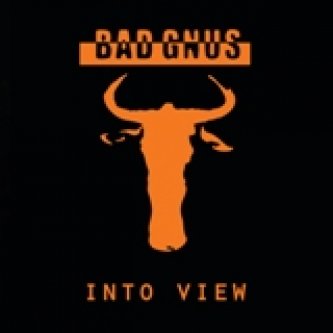 Copertina dell'album Into View, di Bad Gnus