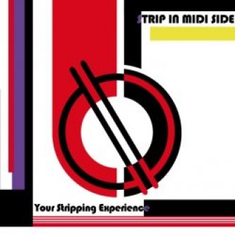 Copertina dell'album Your Stripping Experience, di Strip In Midi Side