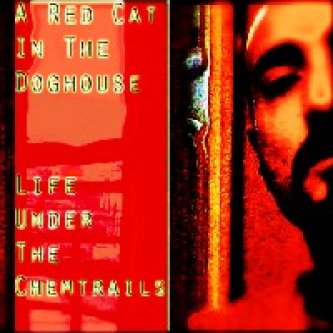 Copertina dell'album Life Under The Chemtrails, di A Red Cat In The DogHouse