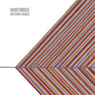 Copertina dell'album Different Strokes EP Preview, di Harembee