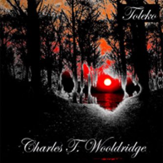 Copertina dell'album Charles T. Wooldridge, di TOLEKO