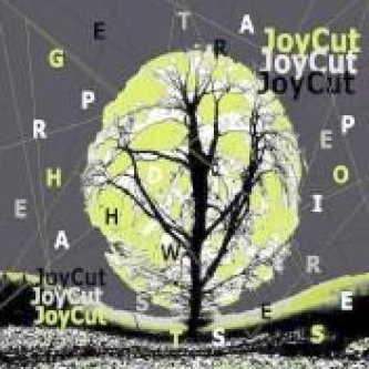 Copertina dell'album Apple [Single], di JoyCut