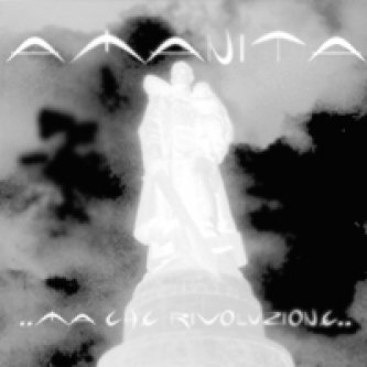 Copertina dell'album Ma che rivoluzione, di Amanita