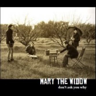 Copertina dell'album Don't ask you why, di Mary the Widow