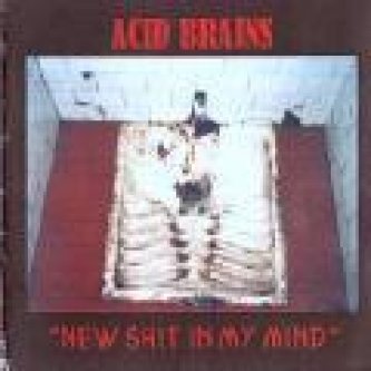 Copertina dell'album New shit in my mind, di Acid Brains
