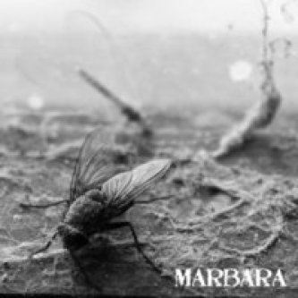 Copertina dell'album marbara - marbara, di marbara