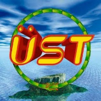 Copertina dell'album Üst , di Üstmamò