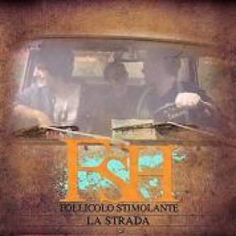 Copertina dell'album La strada, di FSH Follicolo Stimolante