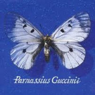 Copertina dell'album Parnassius Guccinii, di Francesco Guccini