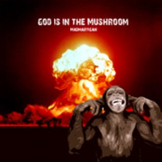Copertina dell'album God is in The Mushroom, di Madmartigan
