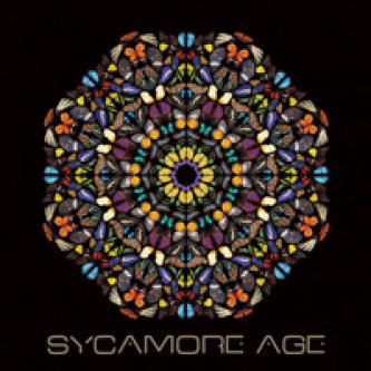 Copertina dell'album Sycamore Age, di Sycamore Age