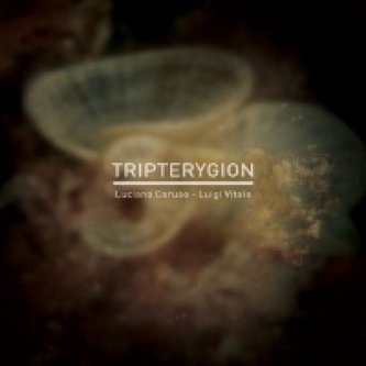 Tripterygion