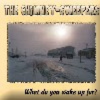 Copertina dell'album What do you wake up for?, di The Chimney Sweepers
