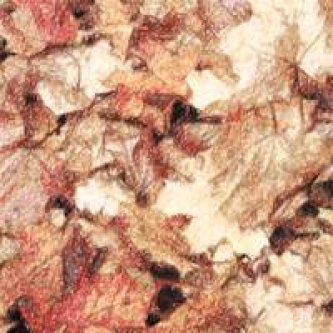 Copertina dell'album The Autumn Leaves Fall In [EP], di The Autumn Leaves Fall In