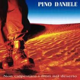 Copertina dell'album Non calpestare i fiori nel deserto, di Pino Daniele
