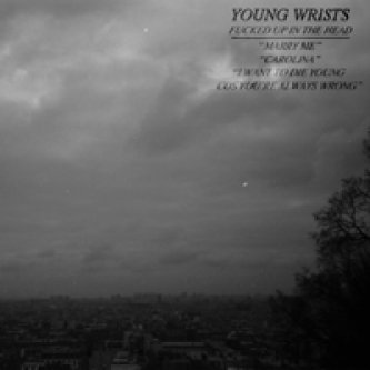 Copertina dell'album Fucked up in the head, di Young Wrists