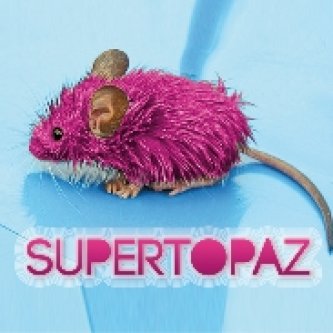 Copertina dell'album Supertopaz Ep, di Supertopaz