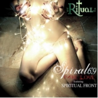 Copertina dell'album Fake Love (feat. Spiritual Front), di Spiral69