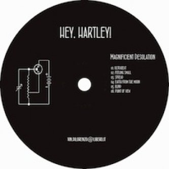 Copertina dell'album Magnificent Desolation, di Hey,Hartley!
