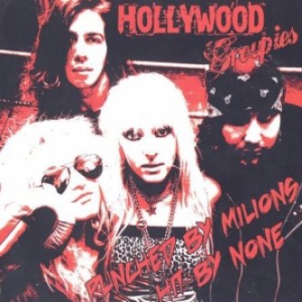 Copertina dell'album Punched by millions hit bye none, di HOLLYWOOD GROUPIES