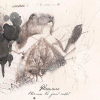 Copertina dell'album Herman the giant Rabbit, di PlusEnsure