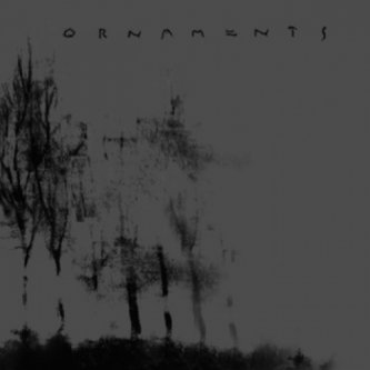 Copertina dell'album Promo 2011, di Ornaments
