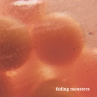 Copertina dell'album fading monsters 2011, di eva