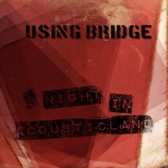 Copertina dell'album A Night In Acousticland, di Using Bridge