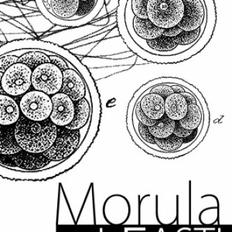 Copertina dell'album Morula, di I Fasti