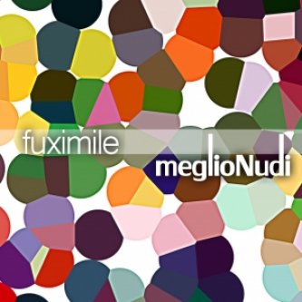 Copertina dell'album MeglioNudi, di FUXIMILE