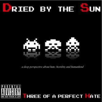 Copertina dell'album Three of a perfect Hate, di Dried by the Sun
