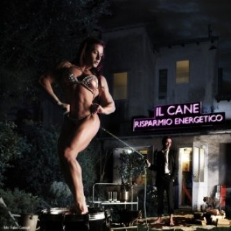 Copertina dell'album Risparmio energetico (mttte-0007/2012) - uscita 27 gennaio 2012, di Il Cane 