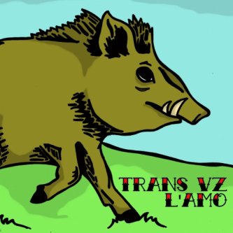 Copertina dell'album Trans VZ / L'AMO, di L'amo