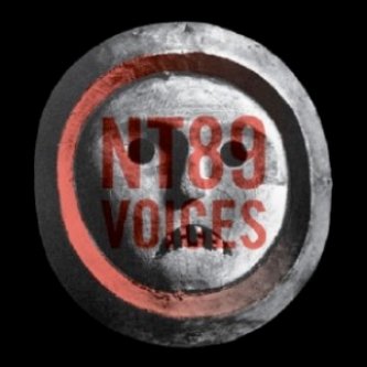 Copertina dell'album Voices Ep, di NT89