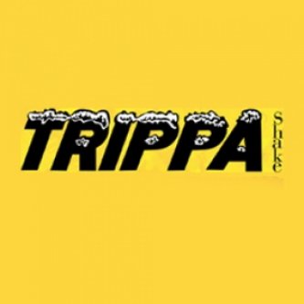 Copertina dell'album Trippa Shake!, di Kerosene