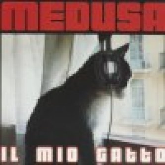 Copertina dell'album Il mio gatto (single), di Medusa