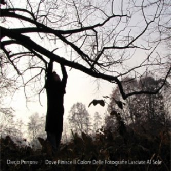 Copertina dell'album Dove finisce il colore delle fotografie lasciate al sole, di Diego Perrone