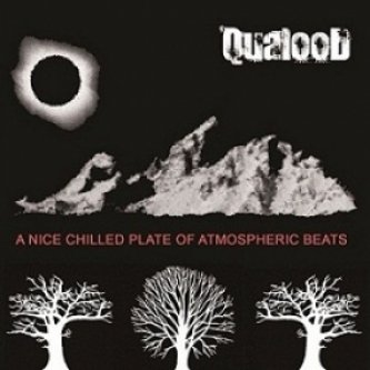Copertina dell'album A Nice Chilled Plate of Atmospheric Beats, di QualooD