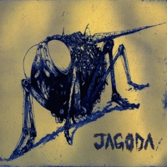 Copertina dell'album Jagoda Ep, di Jagoda Project
