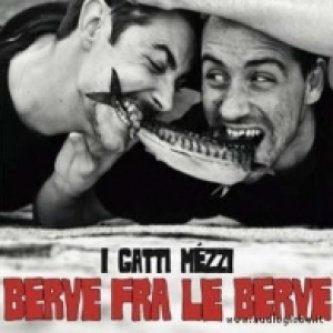 Copertina dell'album Berve fra le berve, di I Gatti Mezzi