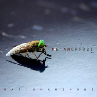 Copertina dell'album Metamorfosi, di Mario Marinoni