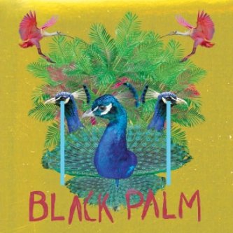 Copertina dell'album Black Palm, di Vertical