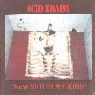 Copertina dell'album New shit in my mind, di Acid Brains