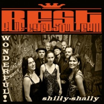 Copertina dell'album shilly-Shally/wonderful, di B.E.S.T