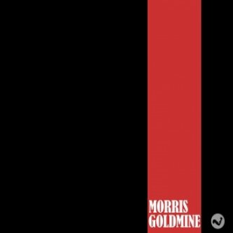 Copertina dell'album Blackout, di Morris Goldmine