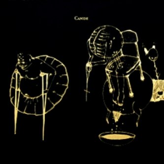 Copertina dell'album CANIDE/THE GREAT SAUNITES - CINGHIALE 17 (split), di Canide