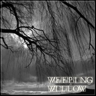 Copertina dell'album Weeping Willow, di Weeping Willow