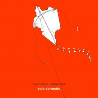 Copertina dell'album volo sbranato, di Marco Brosolo