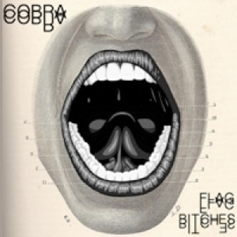 Copertina dell'album FLAG / BITCHES (Single & Remix), di Cobra